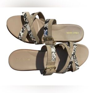 Cole Haan Python-Print Fairen Leather Strappy Buckle Slide Flat Sandals